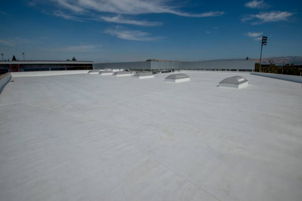 Roof Coating Services in Locust Valley, NY