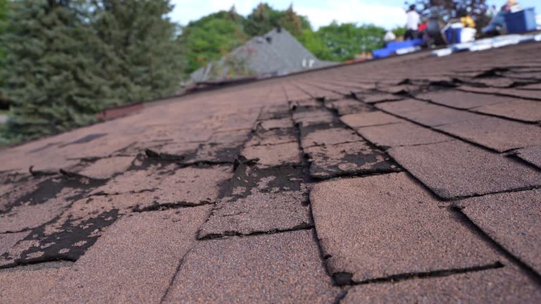 Best Roof Maintenance and Cleaning  in Locust Valley, NY