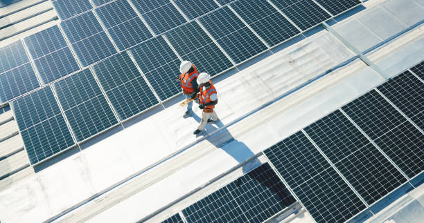 Best Roof Moss and Algae Removal  in Locust Valley, NY