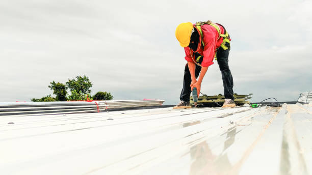 Best Gutter Installation and Repair  in Locust Valley, NY