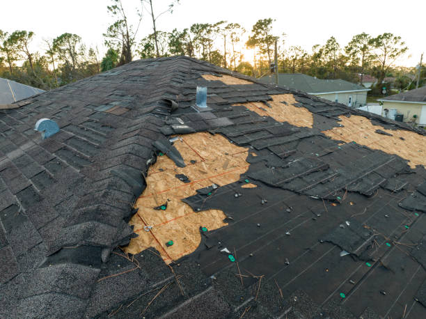 Best Solar Panel Roofing Installation  in Locust Valley, NY